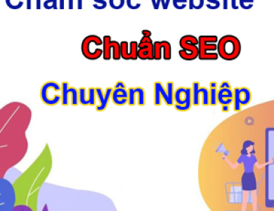 Công ty NINA - Sự lựa chọn hàng đầu về chăm sóc website